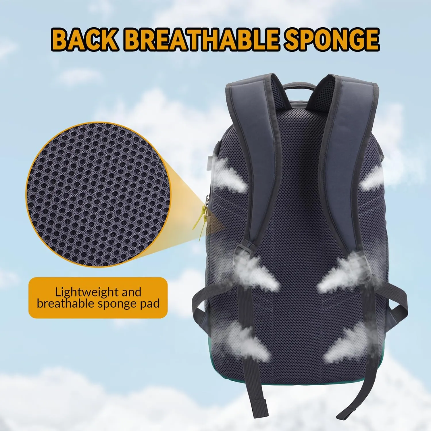 35L Basketball Backpack Large Sports Bag with Separate Ball compartment, for Basketball Soccer Volleyball Swim Gym Travel