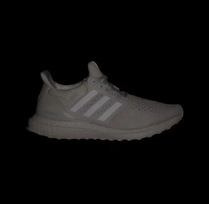 adidas Women's Ultraboost 1.0 Sustain Sneaker