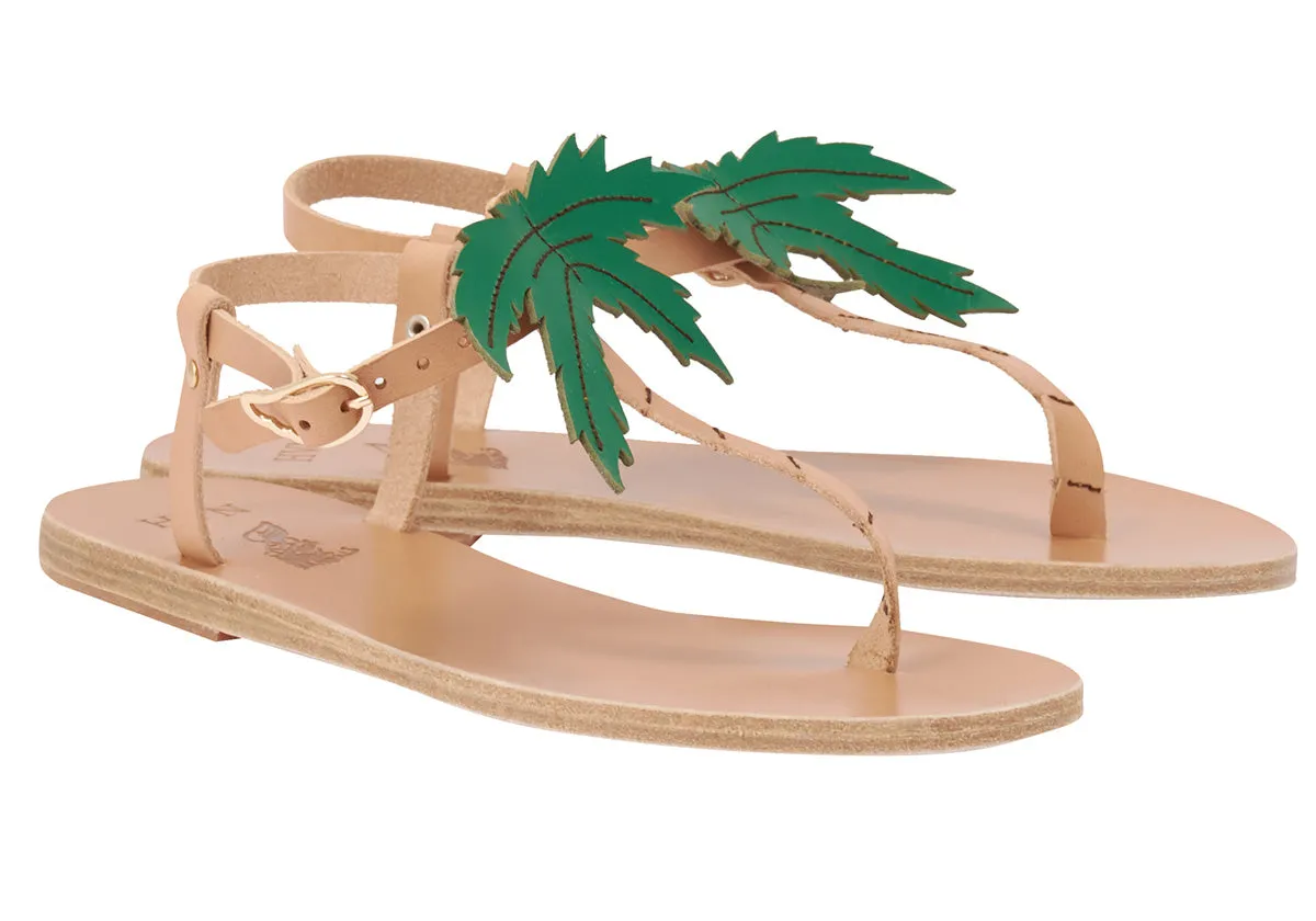 Lito Palm Tree
