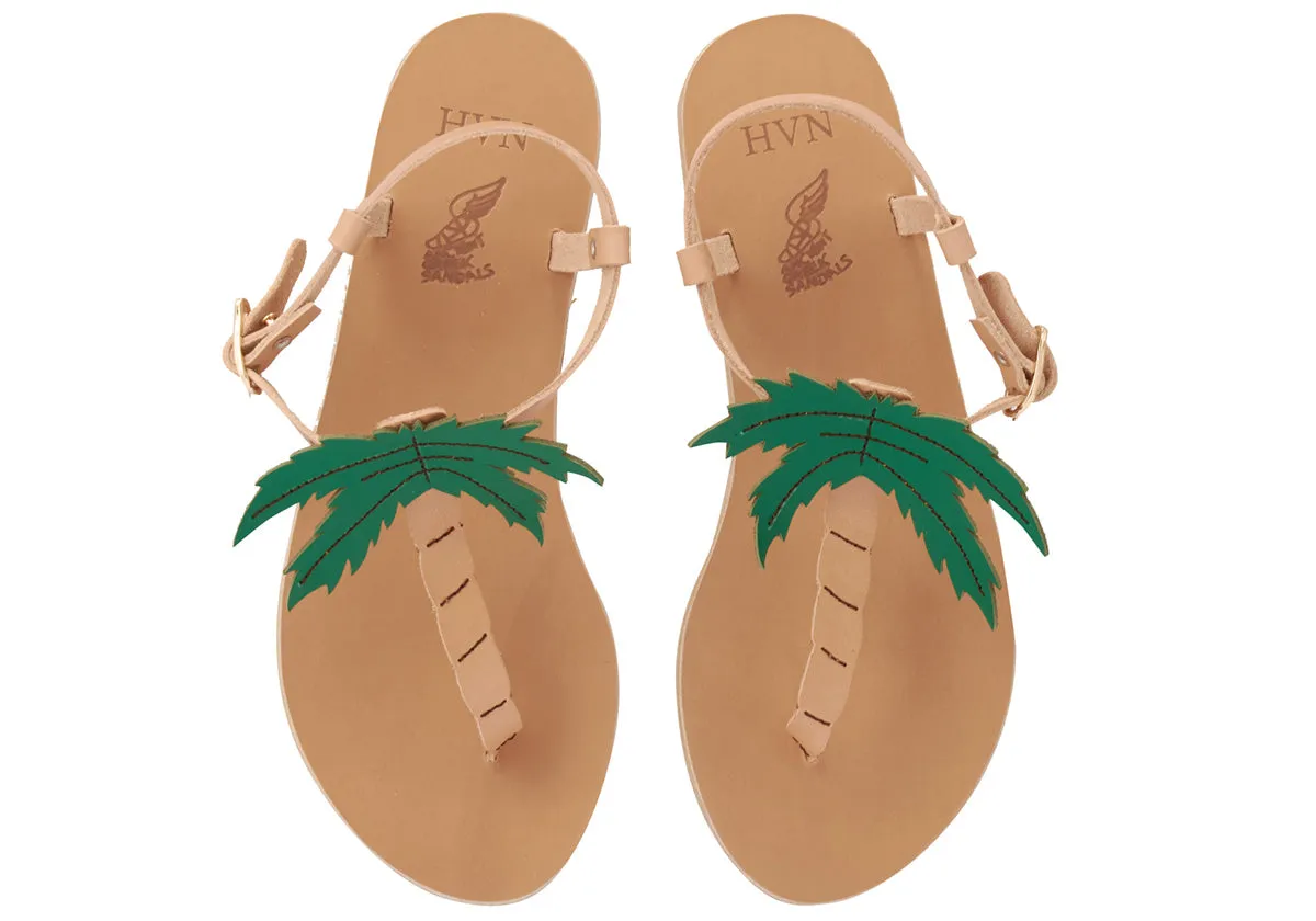 Lito Palm Tree