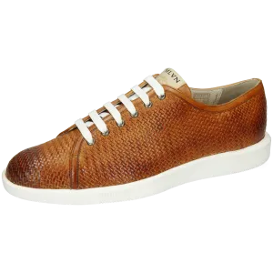 Newton 23