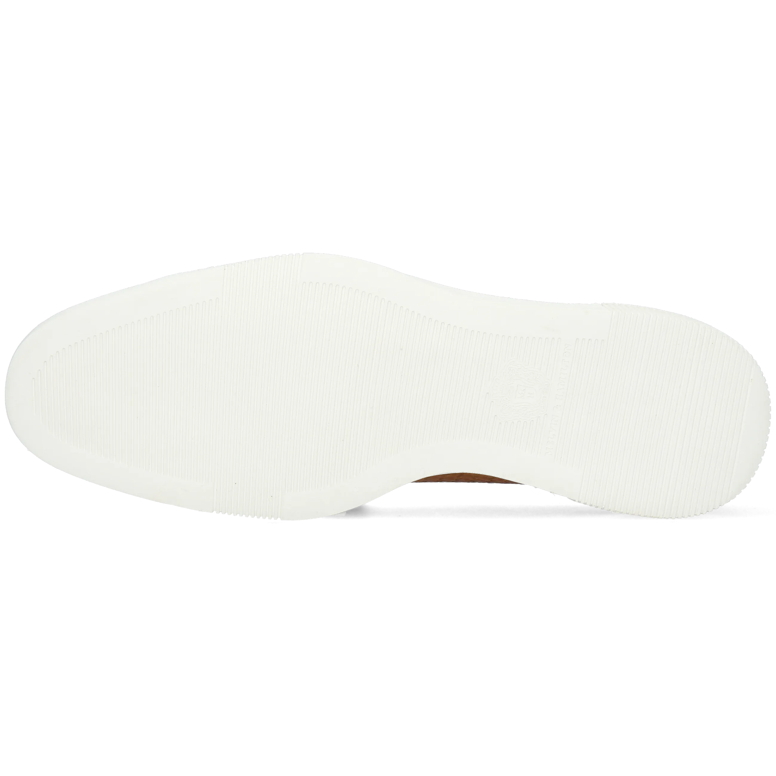 Newton 23