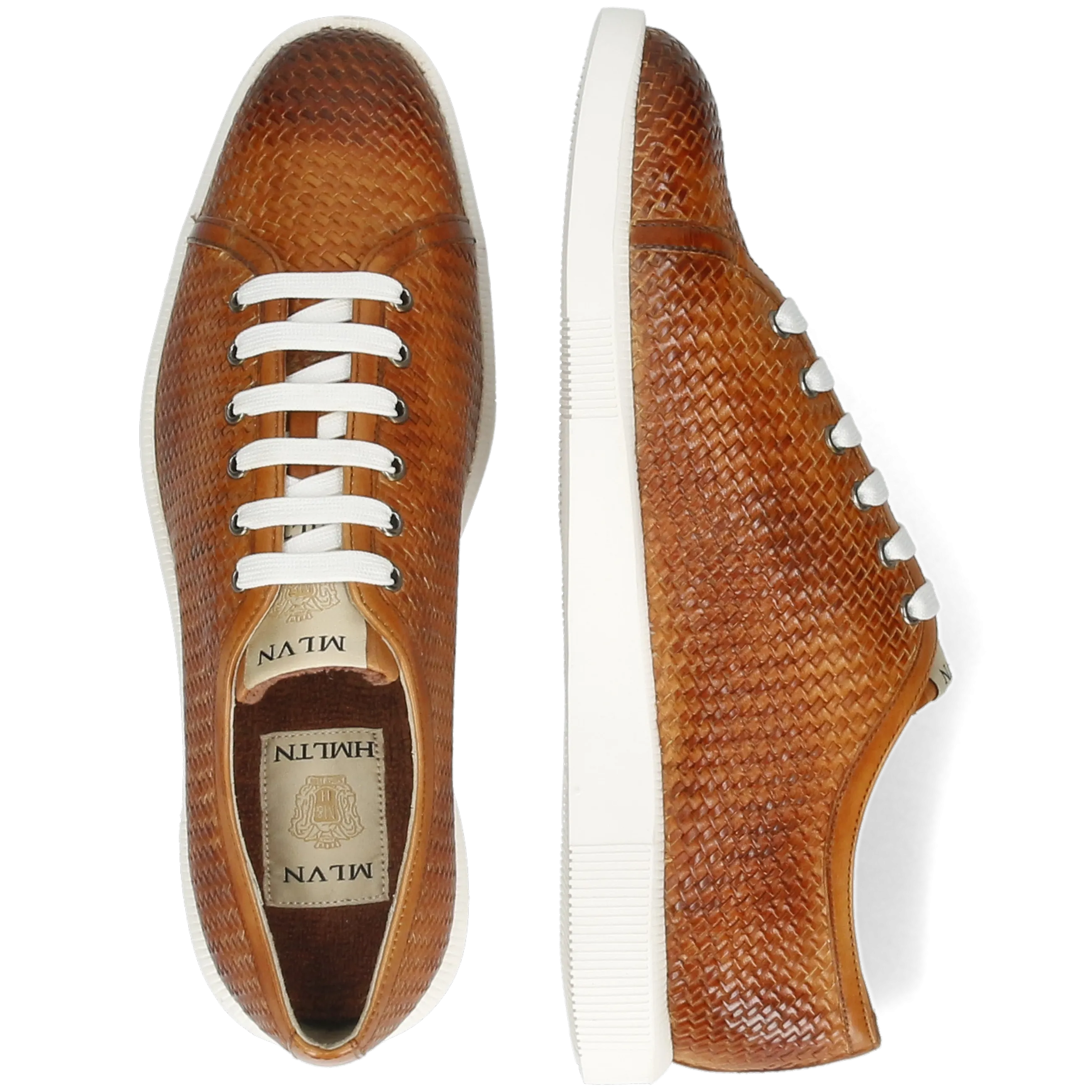 Newton 23