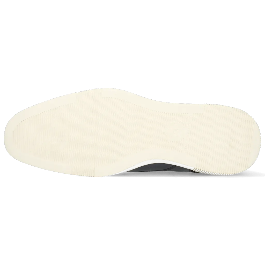 Newton 2