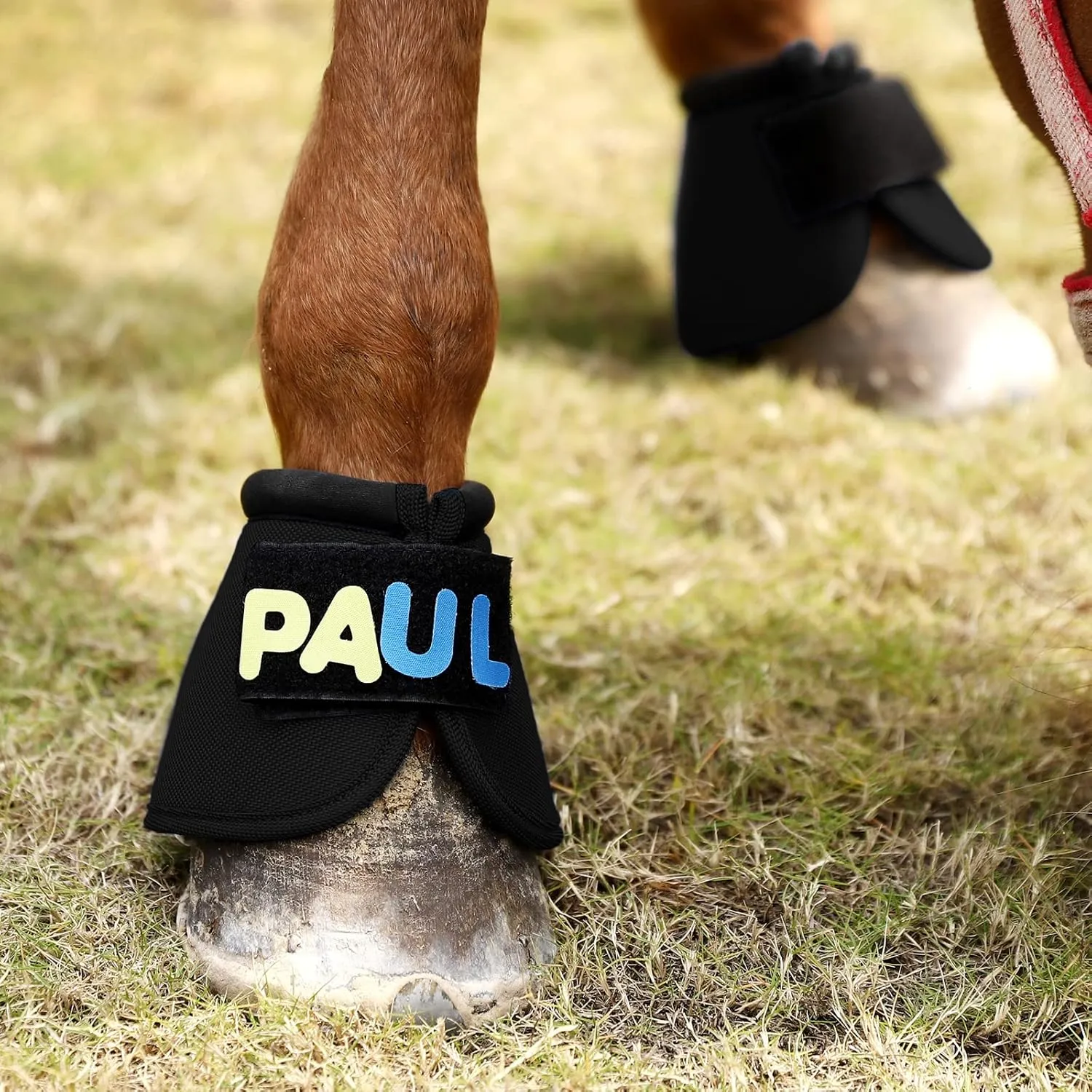 Overrach Bell Boots for Horses | Superb Hoof Protection | Easy Put On Quick Wrap Hook & Loop | Comfortable Durable | Reliable Shock Absorbing 2 Counts (PinkDiamond, Medium)